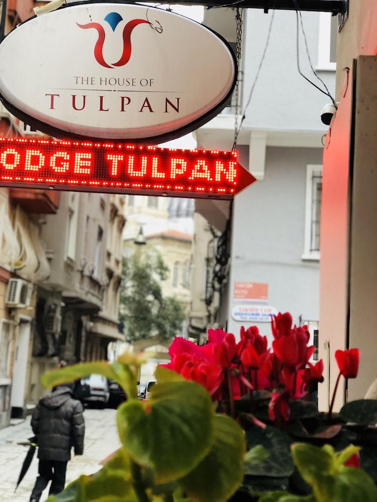 The House Of Tulpan Hotell Istanbul Exteriör bild